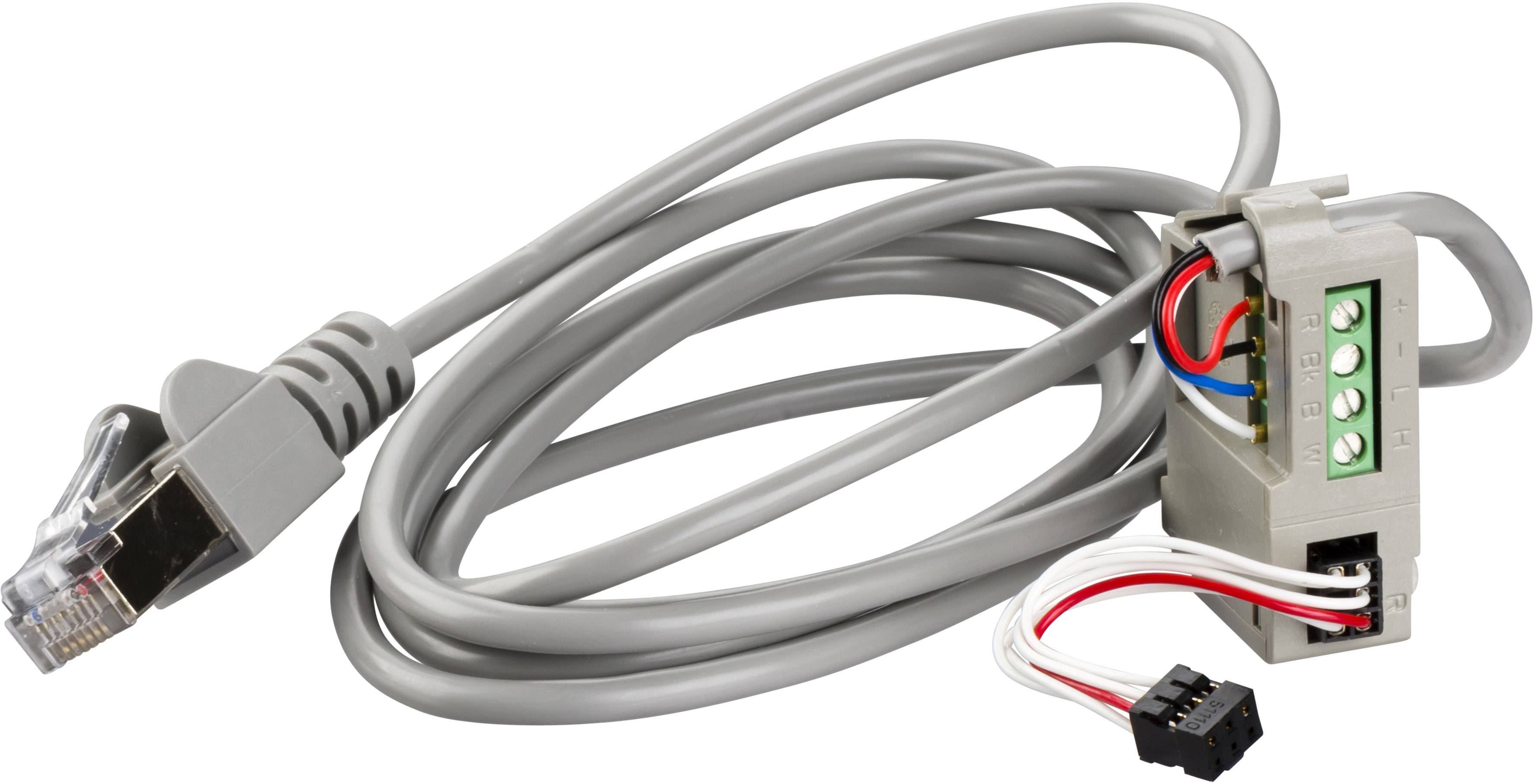 Graues Ethernet-Kabel mit einem modularen Stecker und blanken Kabelenden zu einem geschlossenen Adapter verbunden.