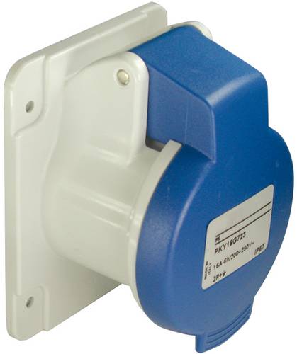 Schneider Electric - PratiKa - socle de prise droite -16A - 2P+T - 200-250 v ca- IP44 - à vis (PKF16G423)
