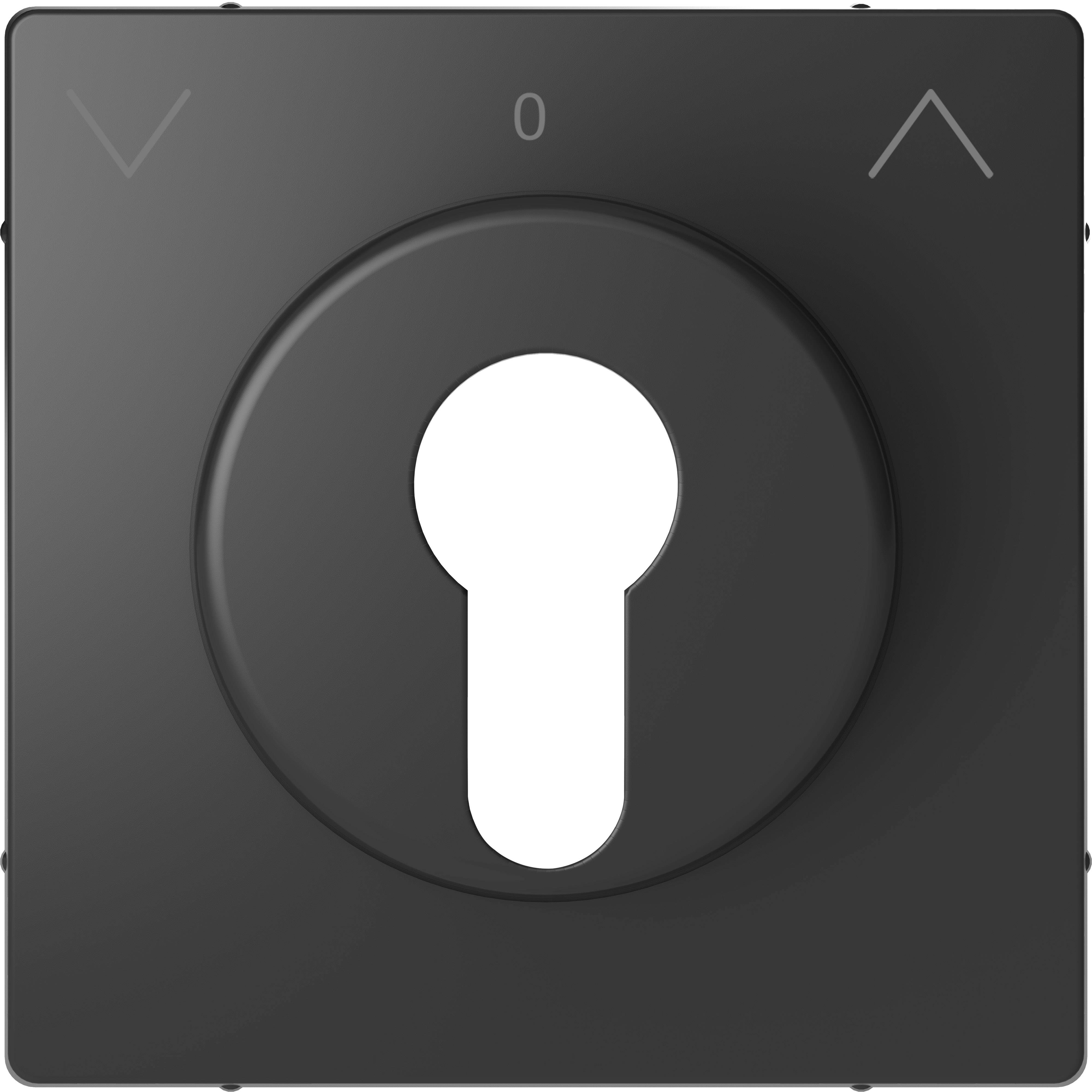 Merten Abdeckung System Design Anthrazit MEG3883-6034 1St.