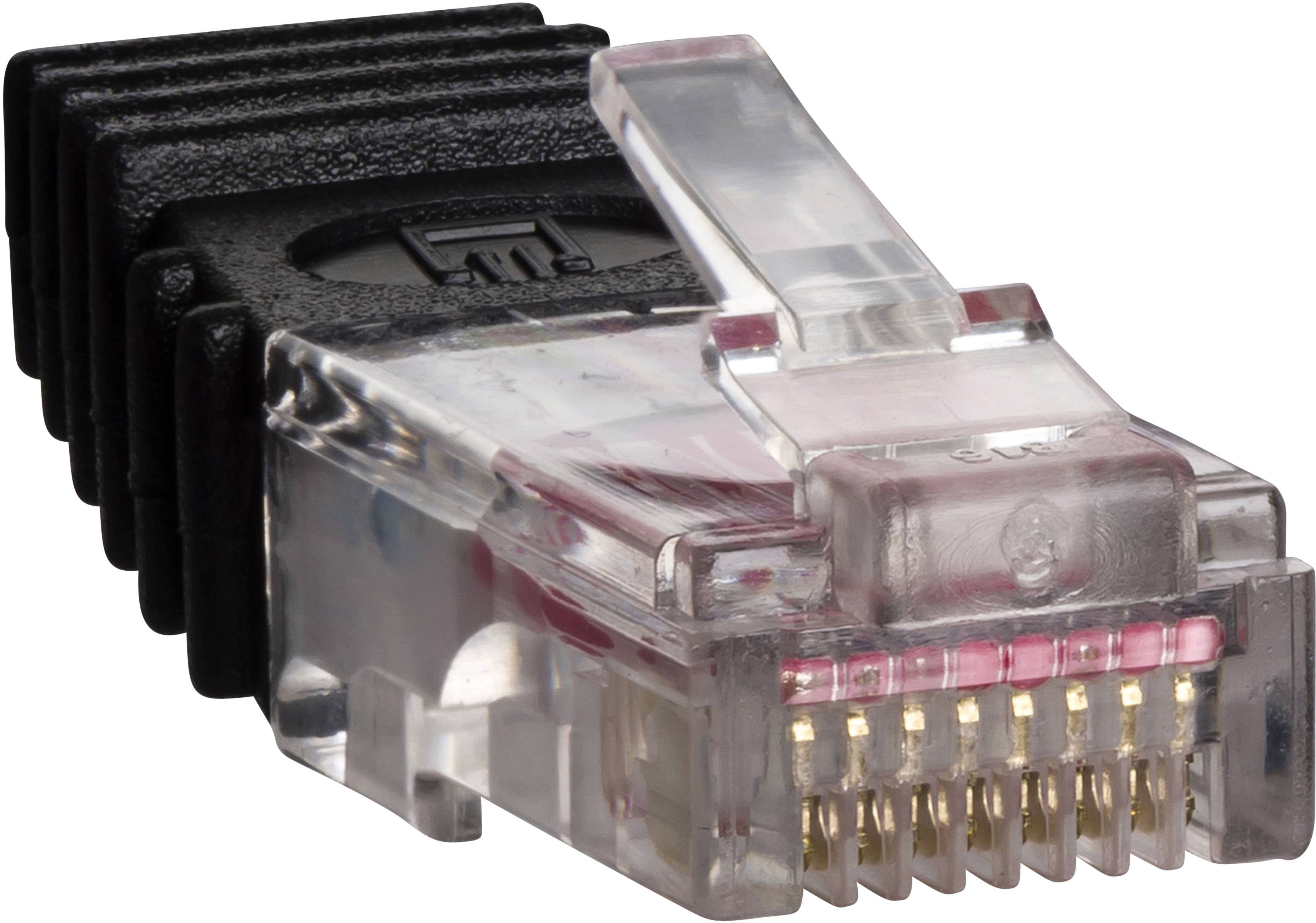 Nahaufnahme eines RJ-45-Steckers für Ethernet-Verbindungen, schwarzes Kunststoffgehäuse mit transparenter Kunststoffabdeckung und goldenen Kontakten.