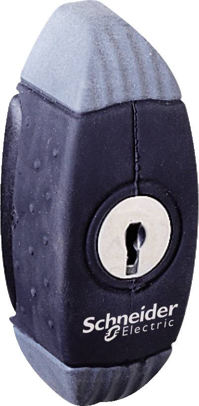 Schwarzes, ovales Schlüsselloch mit grauen Kappen an beiden Enden. 'Schneider Electric'-Logo auf der Vorderseite.