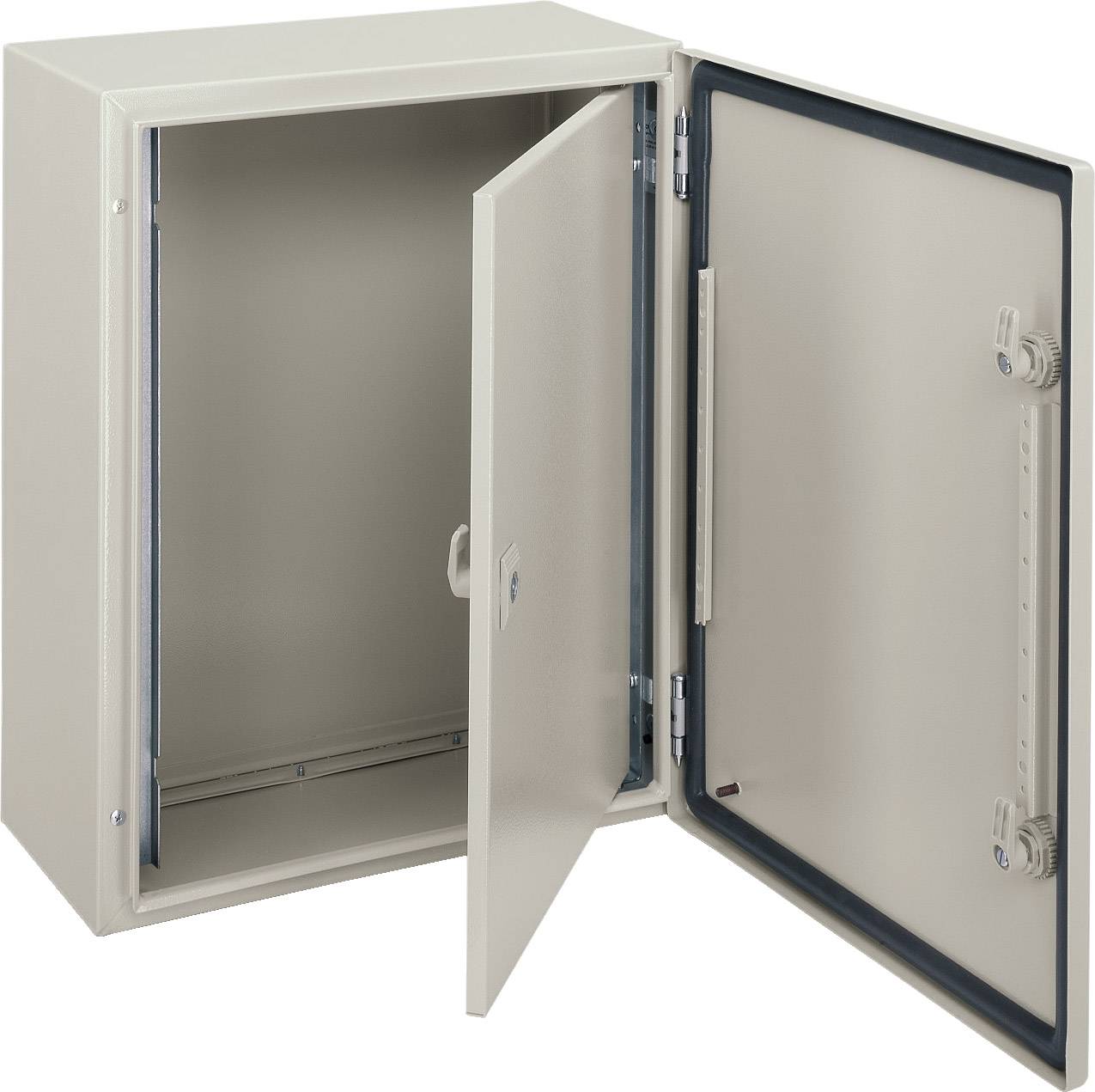 Schneider Electric NSYPIN75 Tür (B x H) 500 mm x 700 mm Stahl 1 St.