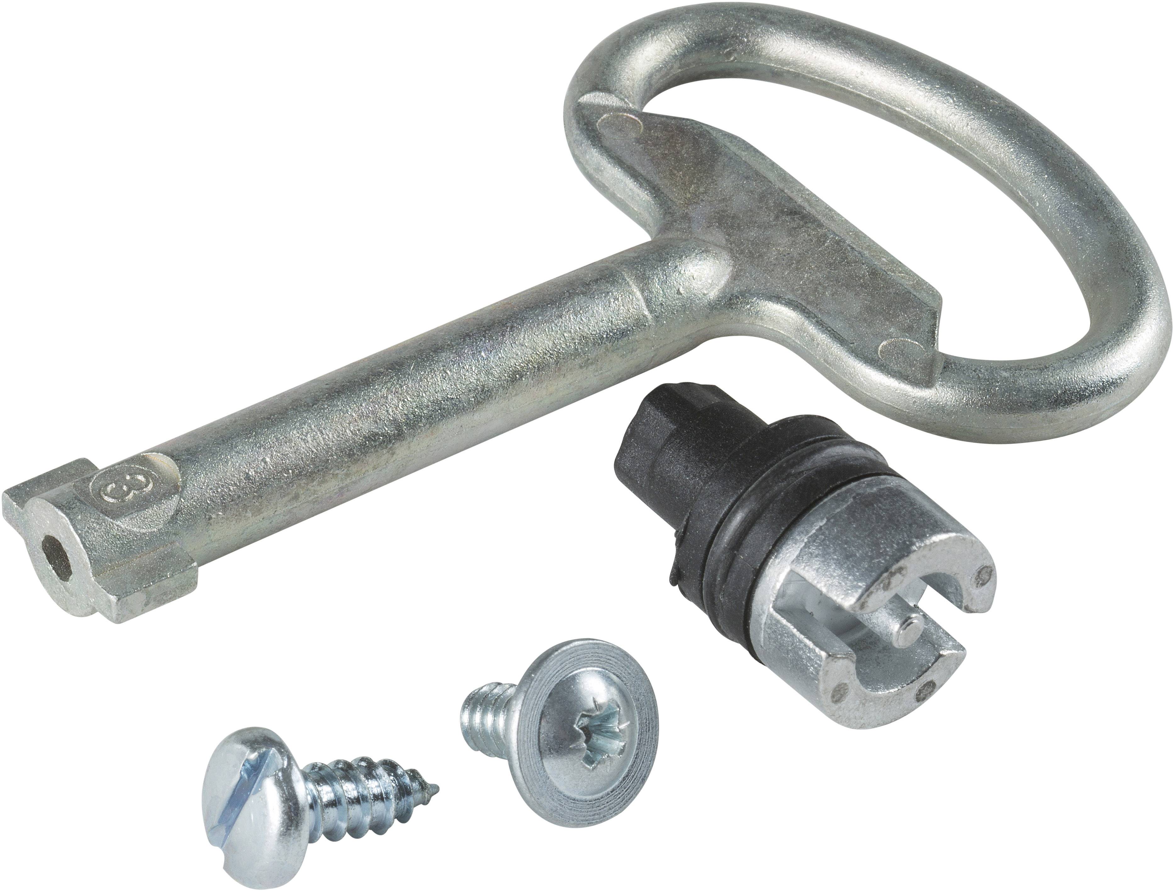 Schlüssel und zwei Schrauben neben einer schwarzen Metallverbindung.