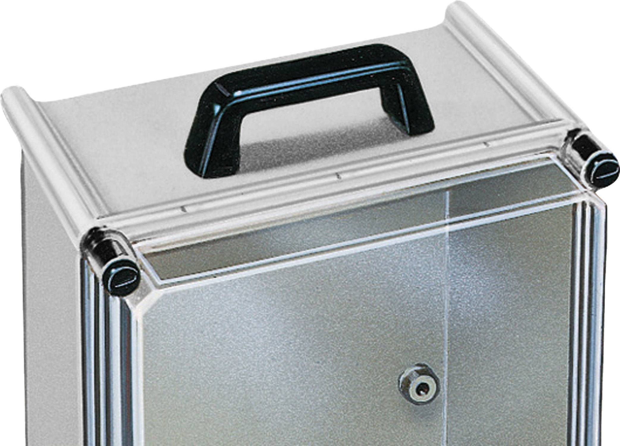 Metallischer Kasten mit schwarzem Griff oben, geeignet für die sichere Aufbewahrung von Gegenständen oder Dokumenten.