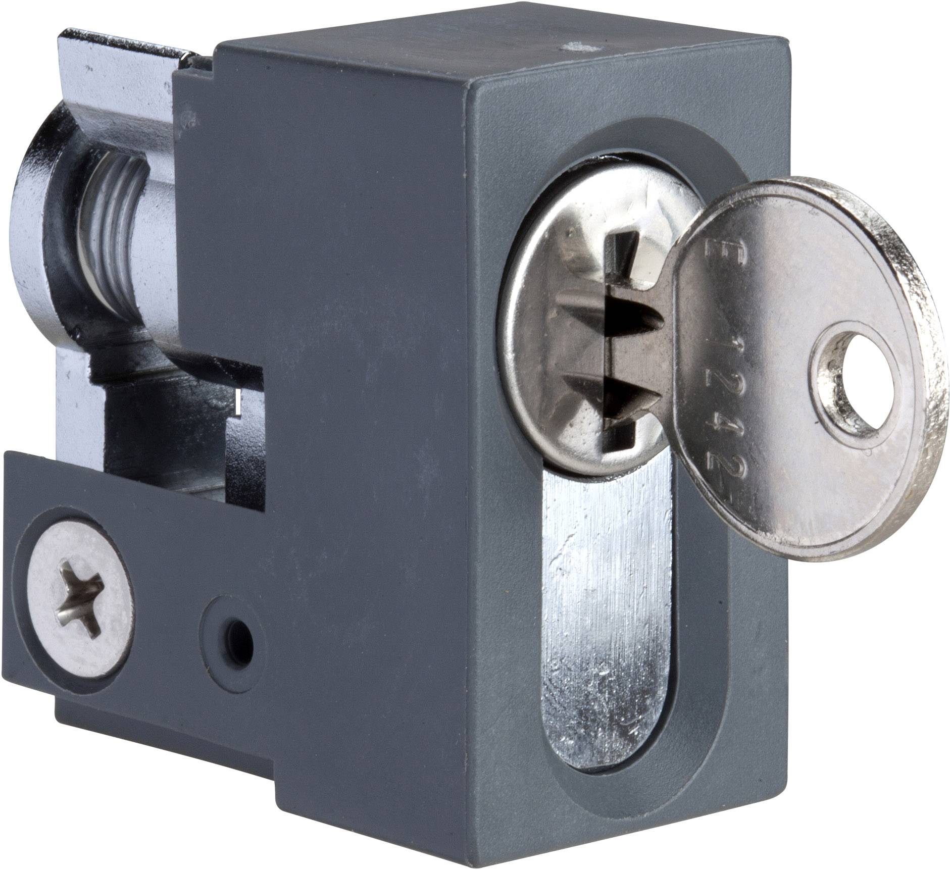 Ein zylindrisches Profilzylinderschloss mit eingesetzt drehendem Schlüssel, umgeben von einem rechteckigen Gehäuse.