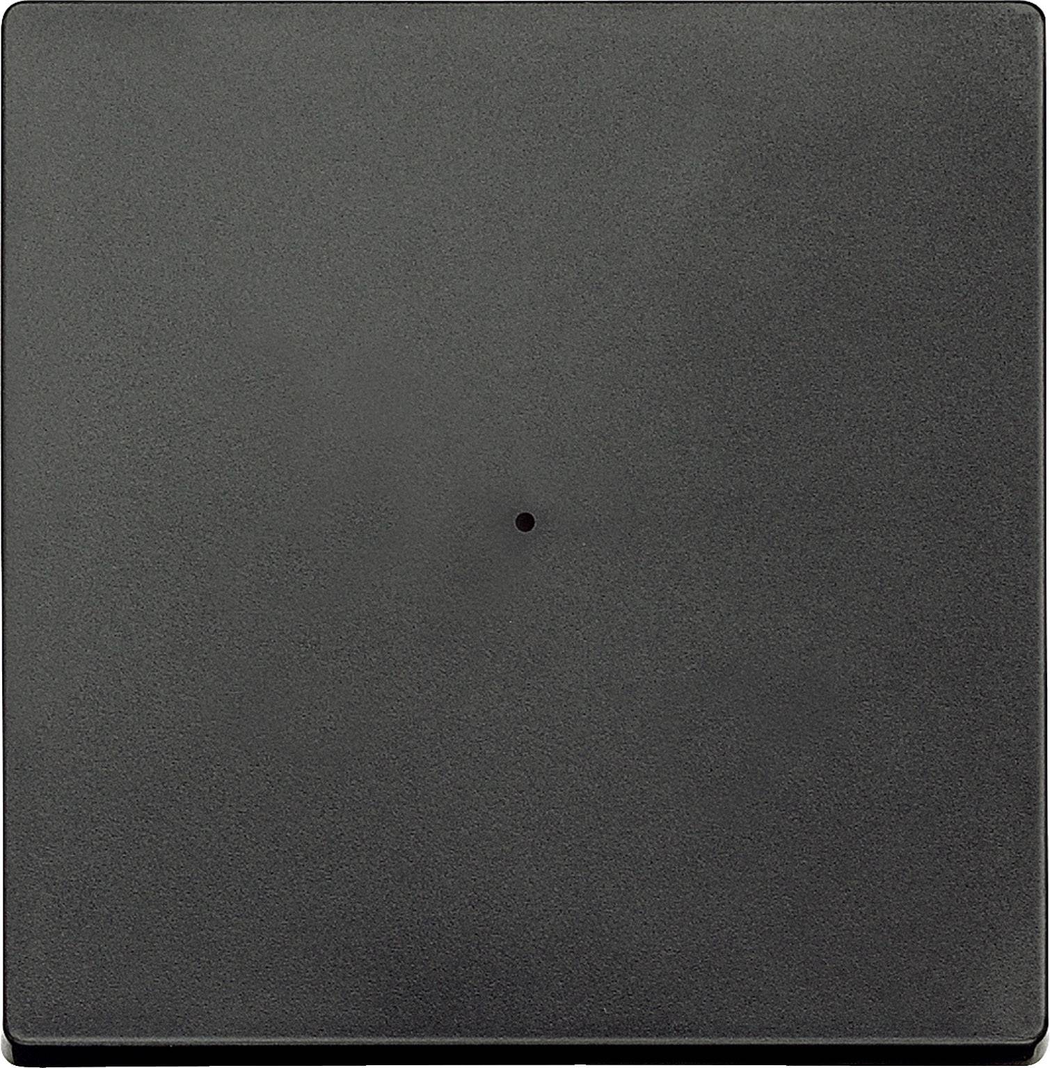 Merten Abdeckung Taster Anthrazit MEG5210-0414 1 St.