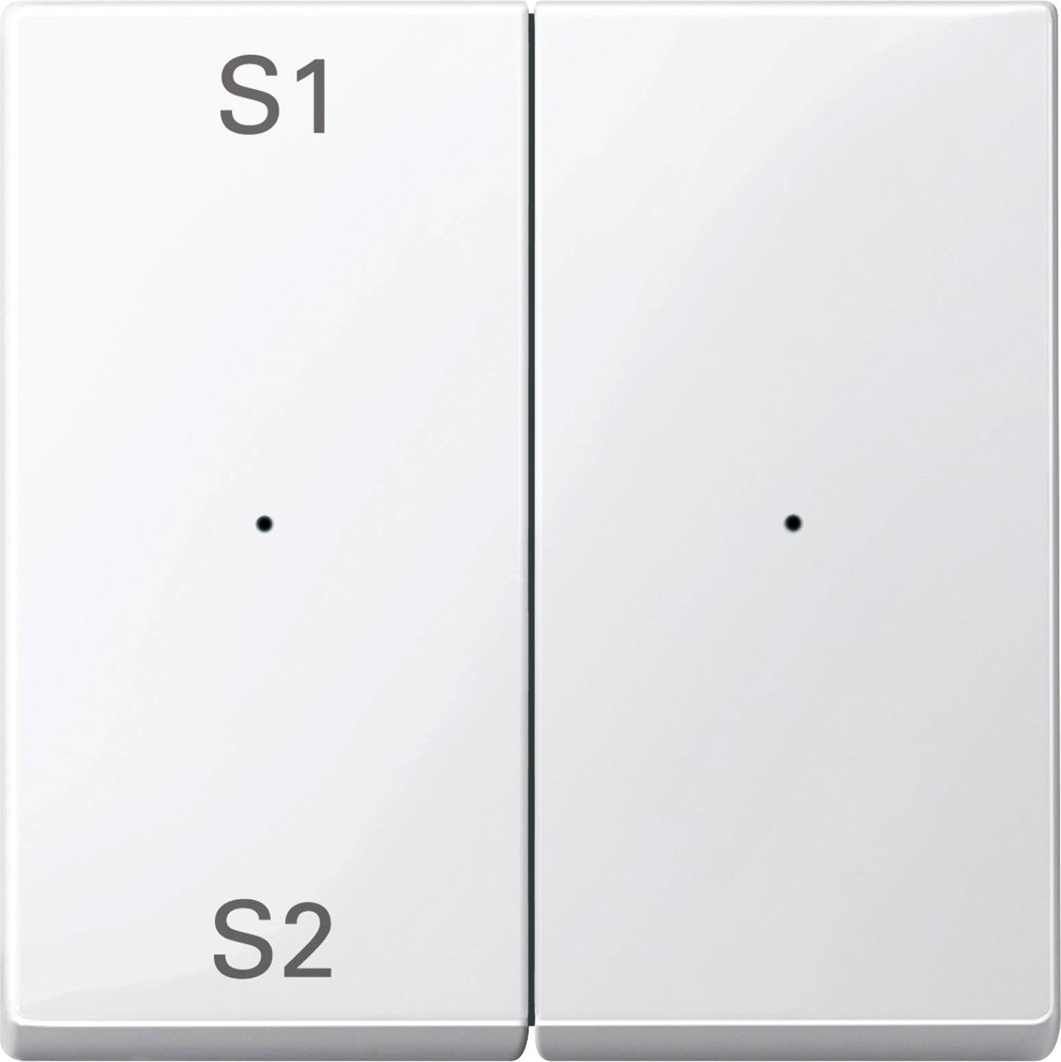 Ein Doppelschalter mit den Beschriftungen S1 und S2.