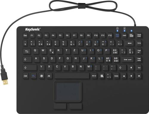 KSK-5230IN (CH) USB Tastatur Schweiz, QWERTZ, Windows® Schwarz Silikonmembran, Wasserfest