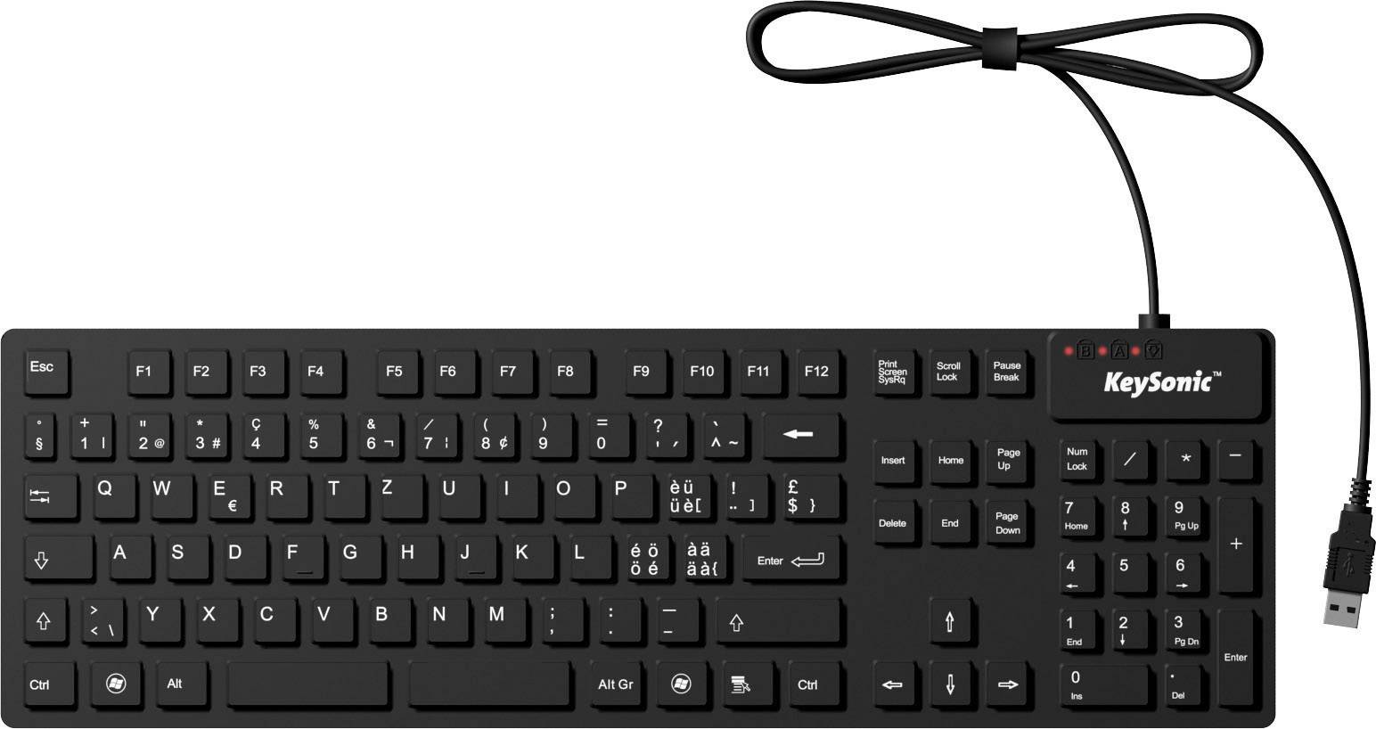 Keysonic KSK-8030 IN (CH) USB Tastatur Schweiz, QWERTZ Schwarz Silikonmembran vollversiegelt IP68, Wasserfest (IPX7)