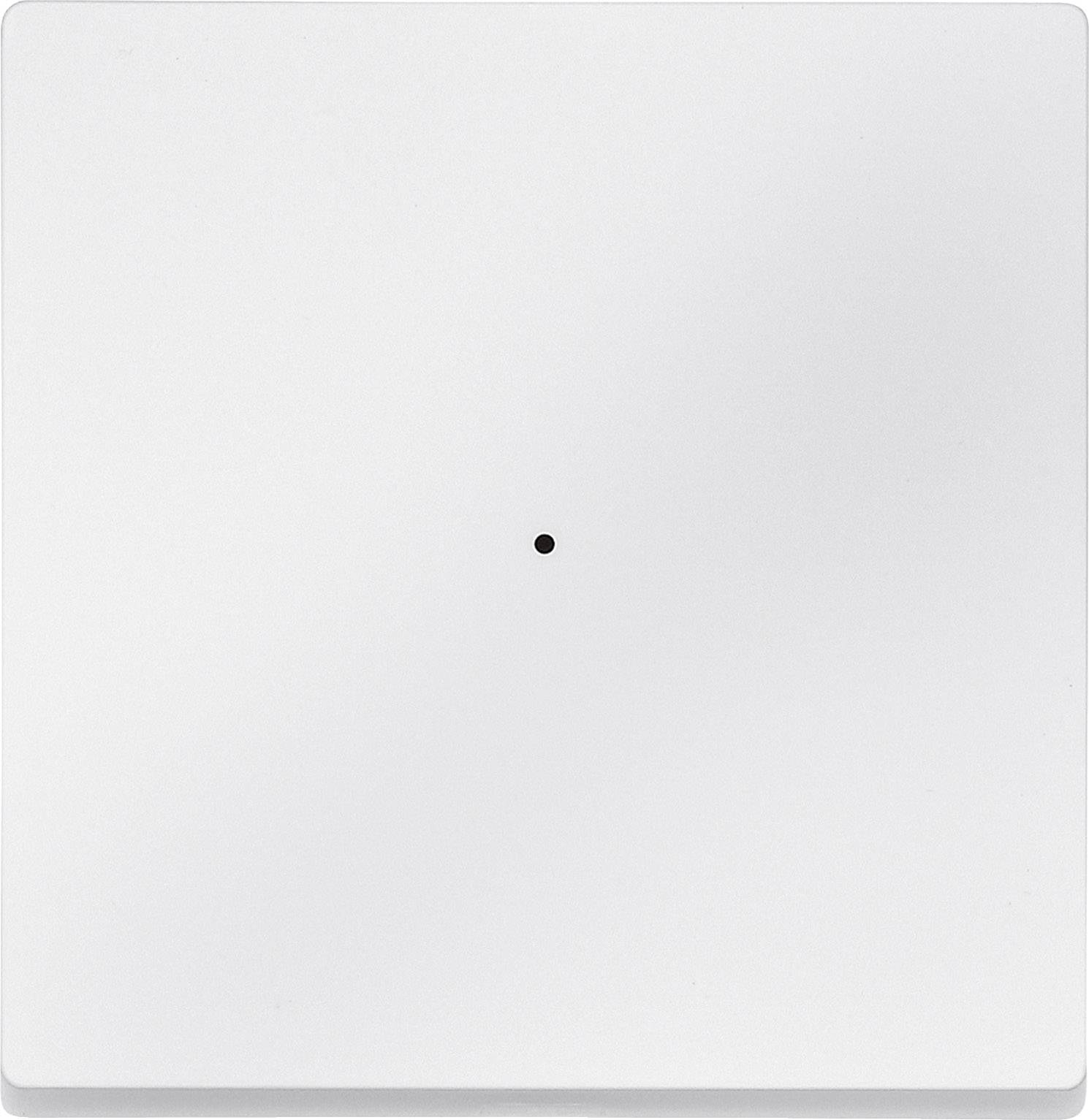 Ein einfacher, weißer, quadratischer Hintergrund mit einem kleinen schwarzen Punkt in der Mitte.