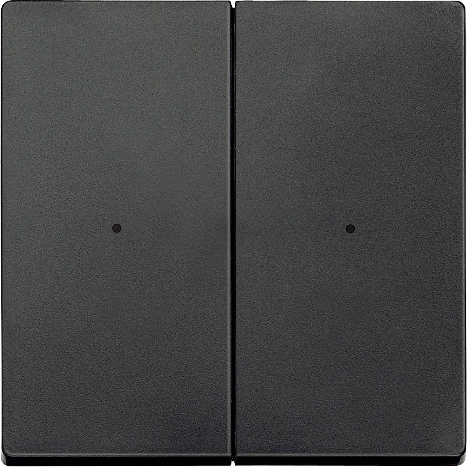 Zweifach-Lichtschalter in dunkler Ausführung, montiert an einer Wand. Ideal für moderne Innenräume, minimalistische Gestaltung.