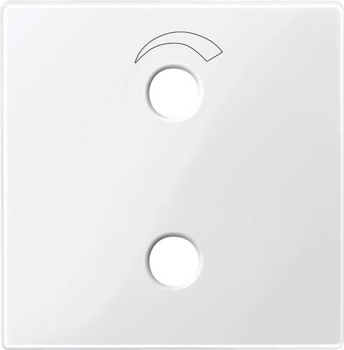 Merten Abdeckung System M Polarweiß 451919