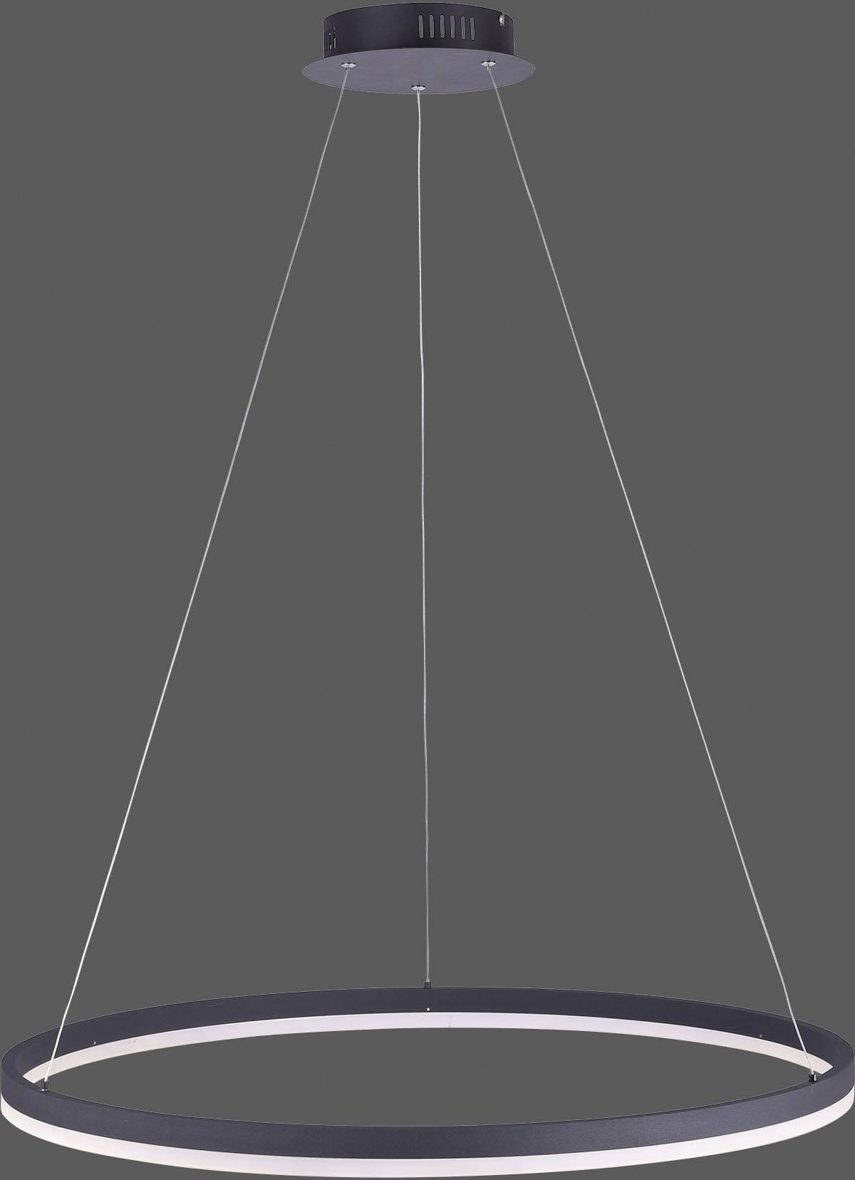 Paul Neuhaus TITUS 2383-13 LED-Pendelleuchte 61 W Anthrazit