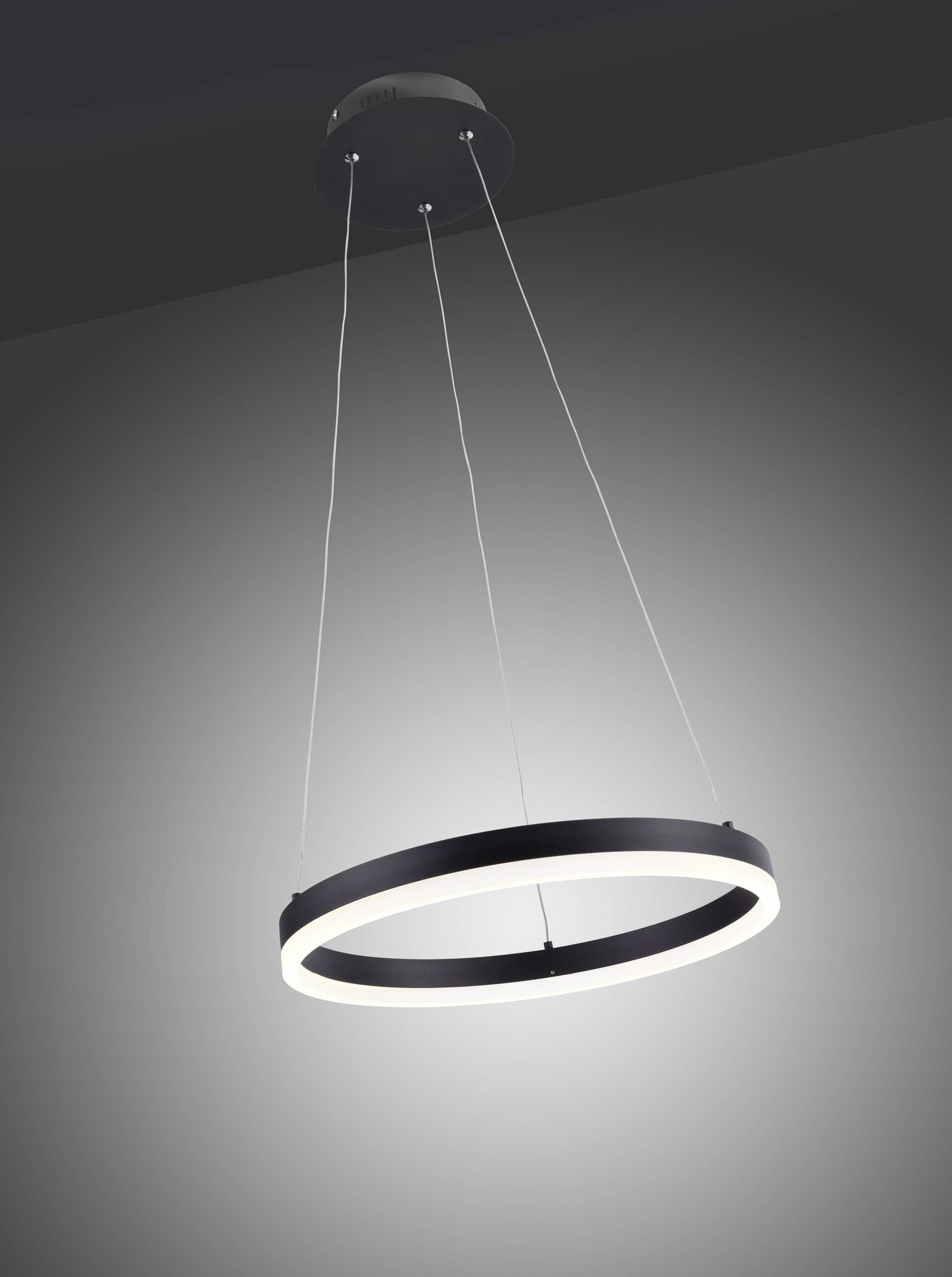 Paul Neuhaus TITUS 2381-13 LED-Pendelleuchte    34 W Anthrazit