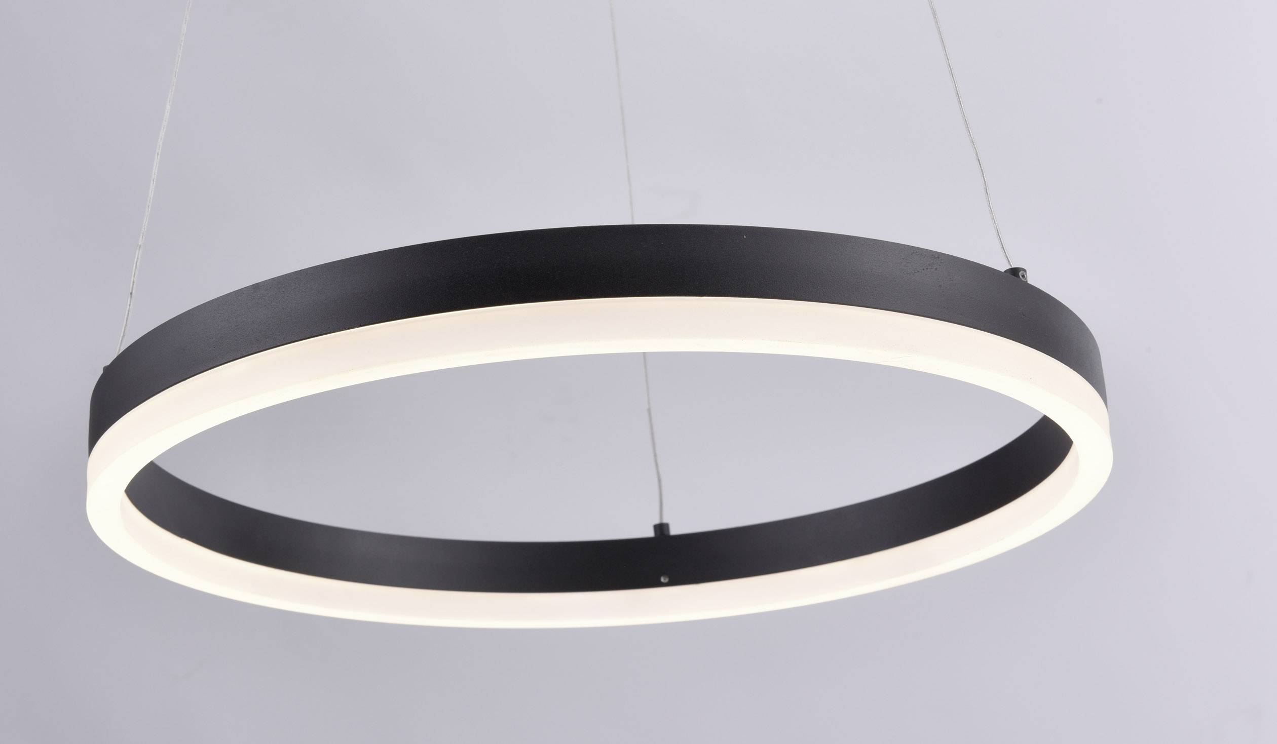 Paul Neuhaus TITUS 2381-13 LED-Pendelleuchte    34 W Anthrazit