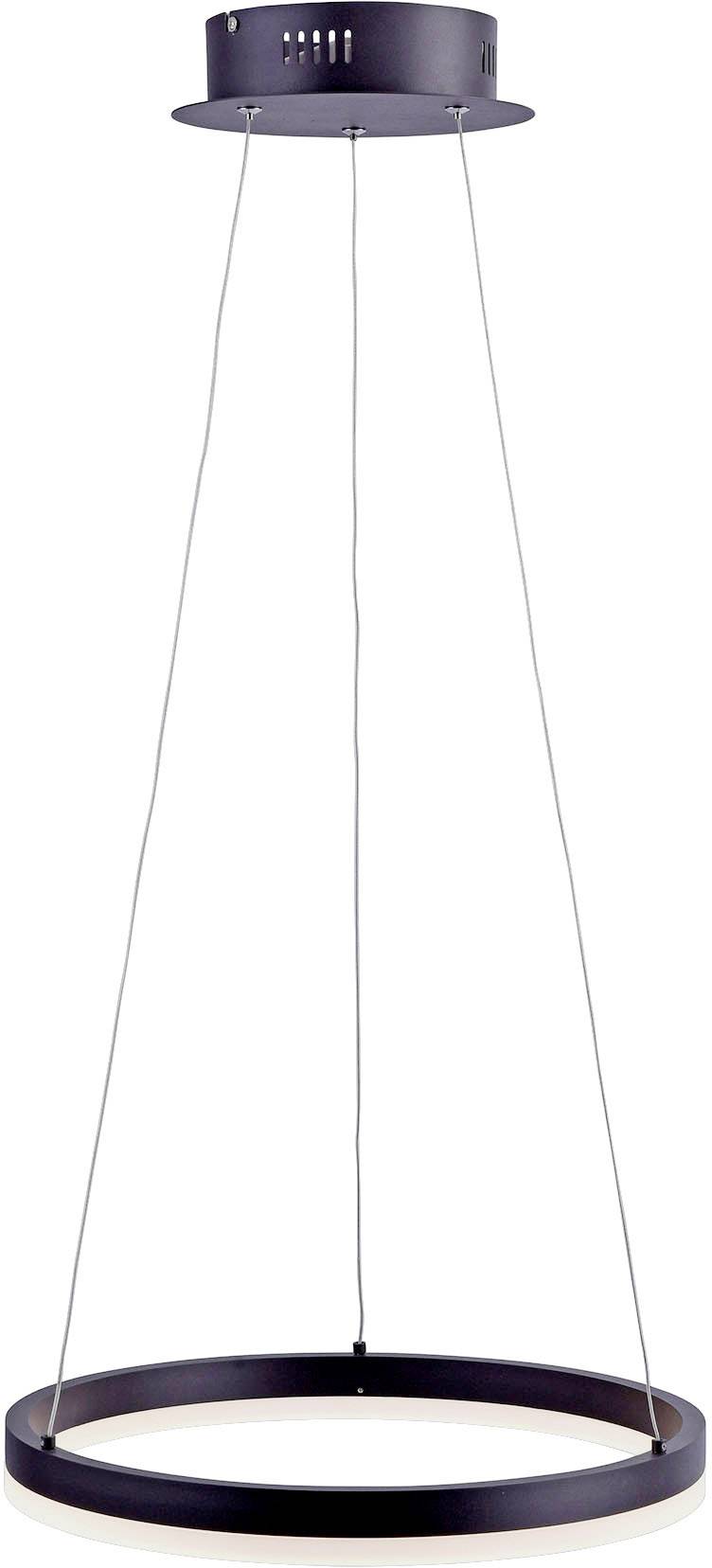 Paul Neuhaus TITUS 2381-13 LED-Pendelleuchte    34 W Anthrazit