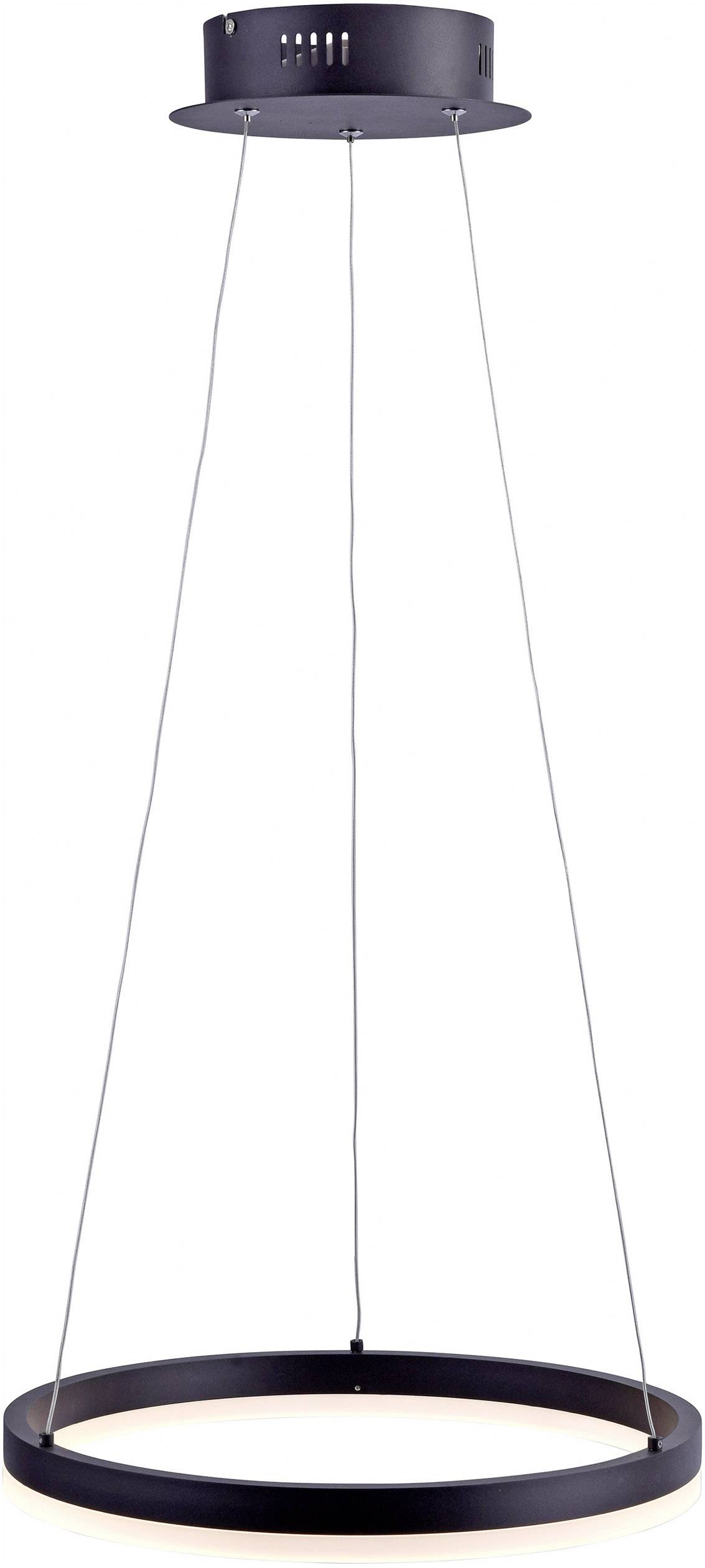 Paul Neuhaus TITUS 2381-13 LED-Pendelleuchte    34 W Anthrazit