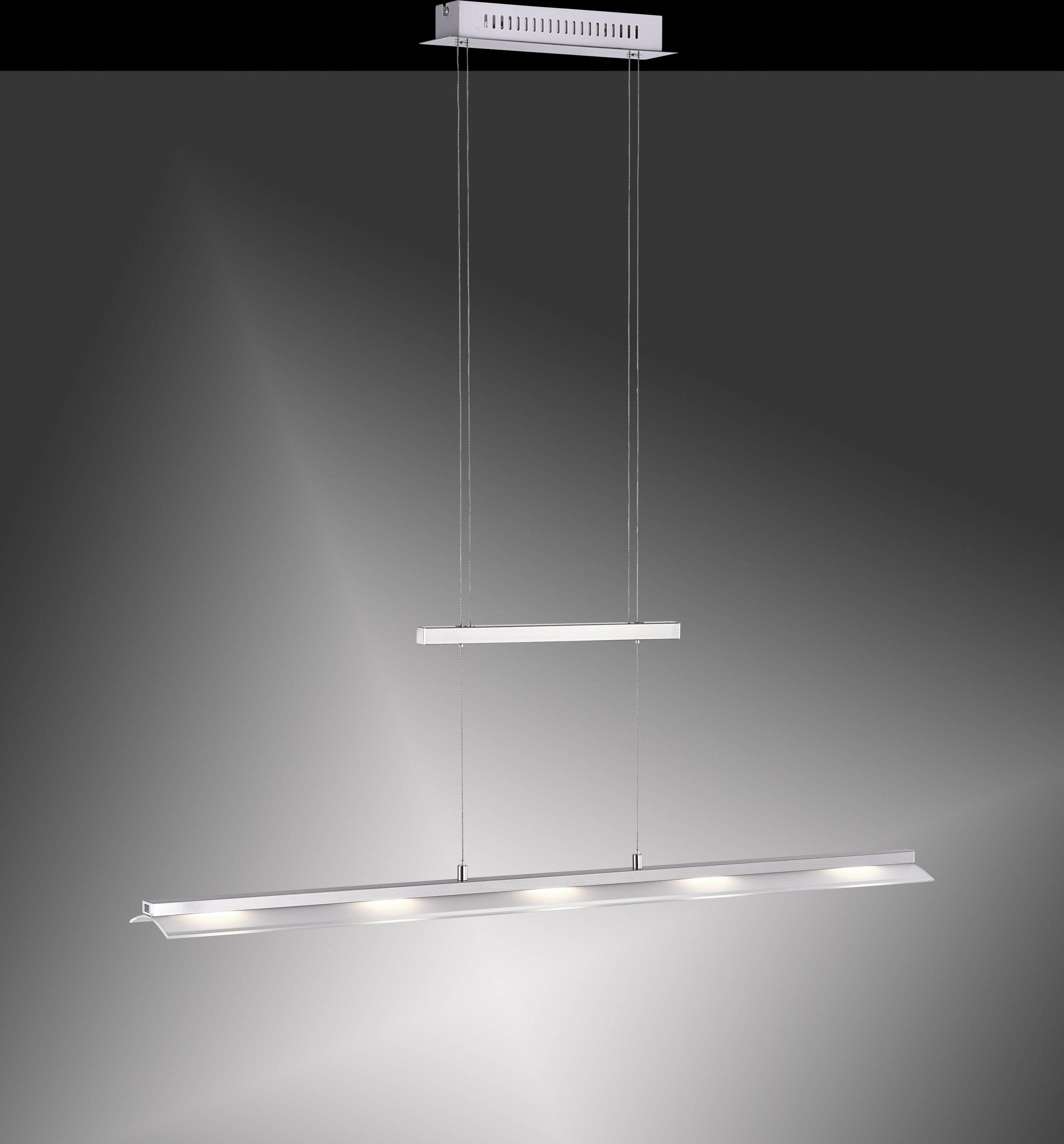Paul Neuhaus NELE 2278-55 LED-Pendelleuchte 20 W