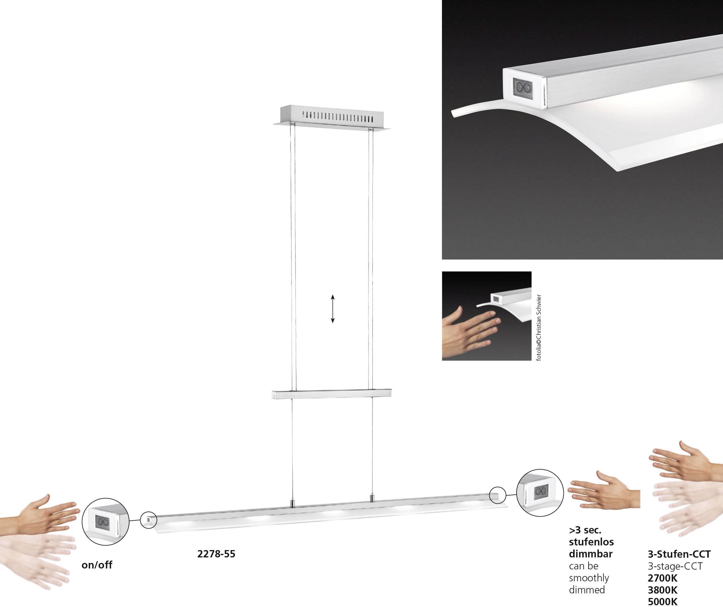 Paul Neuhaus NELE 2278-55 LED-Pendelleuchte 20 W