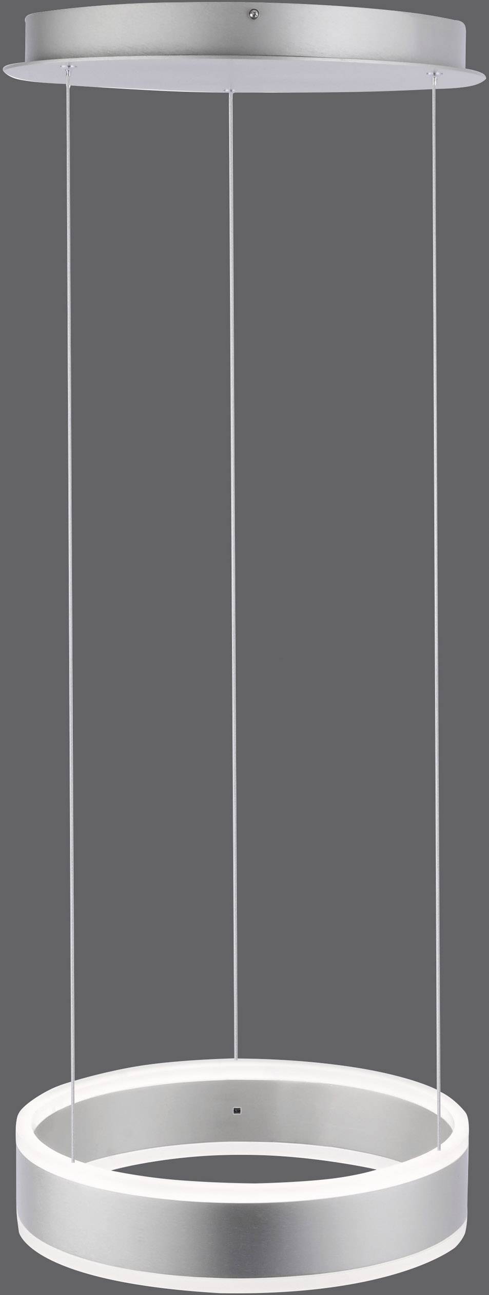 Paul Neuhaus ARINA 8360-55 LED-Pendelleuchte 40W Edelstahl