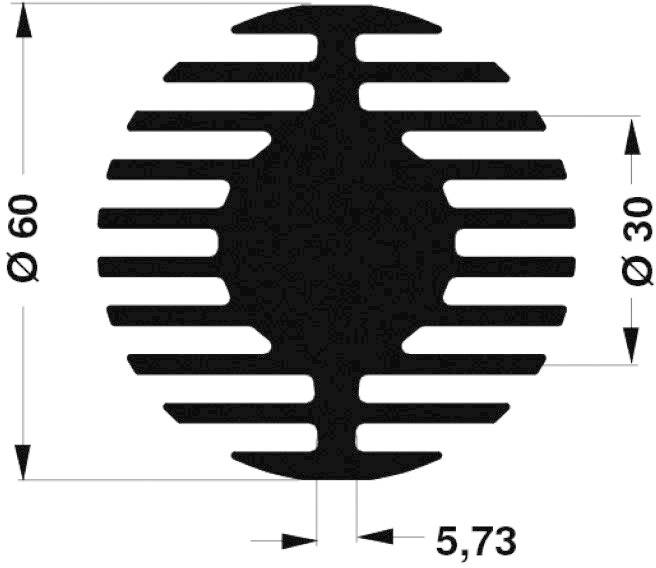 Technische Zeichnung eines runden Gitters mit 60 mm Durchmesser, durchbrochen durch 12 gleichmäßige Schlitze.
