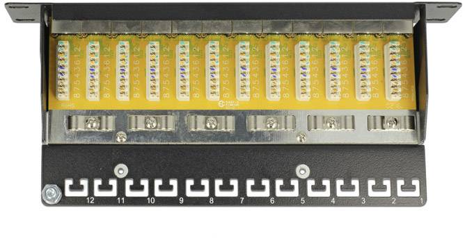 Delock 12 Port Netzwerk-Patchpanel CAT 6 1 HE Bestückt