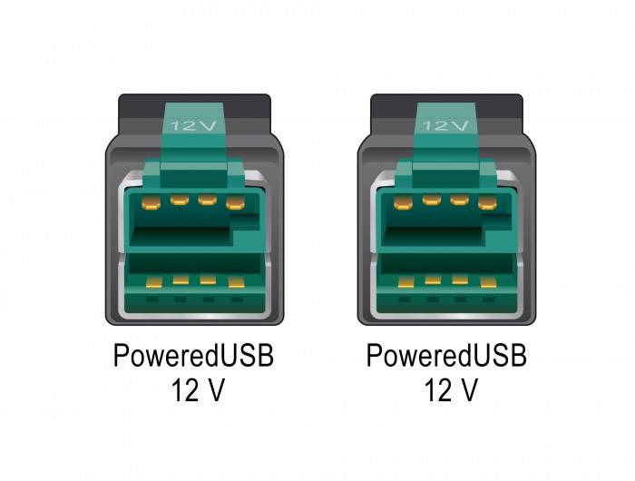Delock USB-Kabel USB 2.0 PoweredUSB 12V Stecker 4.00 m Schwarz 85495