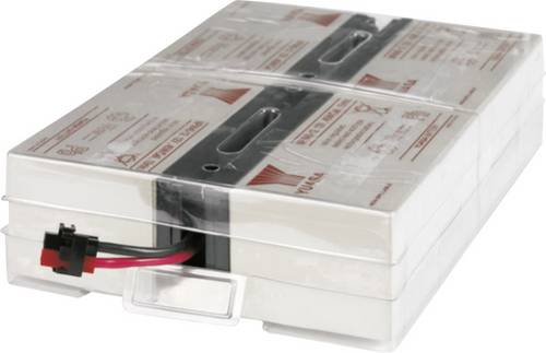 AEG Power Solutions USV Batterypack Passend für Modell (USV): AEG Protect B. 1000 PRO