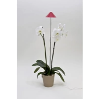 Venso LED-Pflanzenlampe SUNLiTE LED fest eingebaut 7W Neutralweiß 1St. Venso LED-Pflanzenlampe SUNLiTE LED fest eingebaut 7W Neutralweiß 1St.