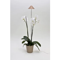 Venso LED-Pflanzenlampe SUNLiTE LED fest eingebaut 7W Neutralweiß 1St. Venso LED-Pflanzenlampe SUNLiTE LED fest eingebaut 7W Neutralweiß 1St.