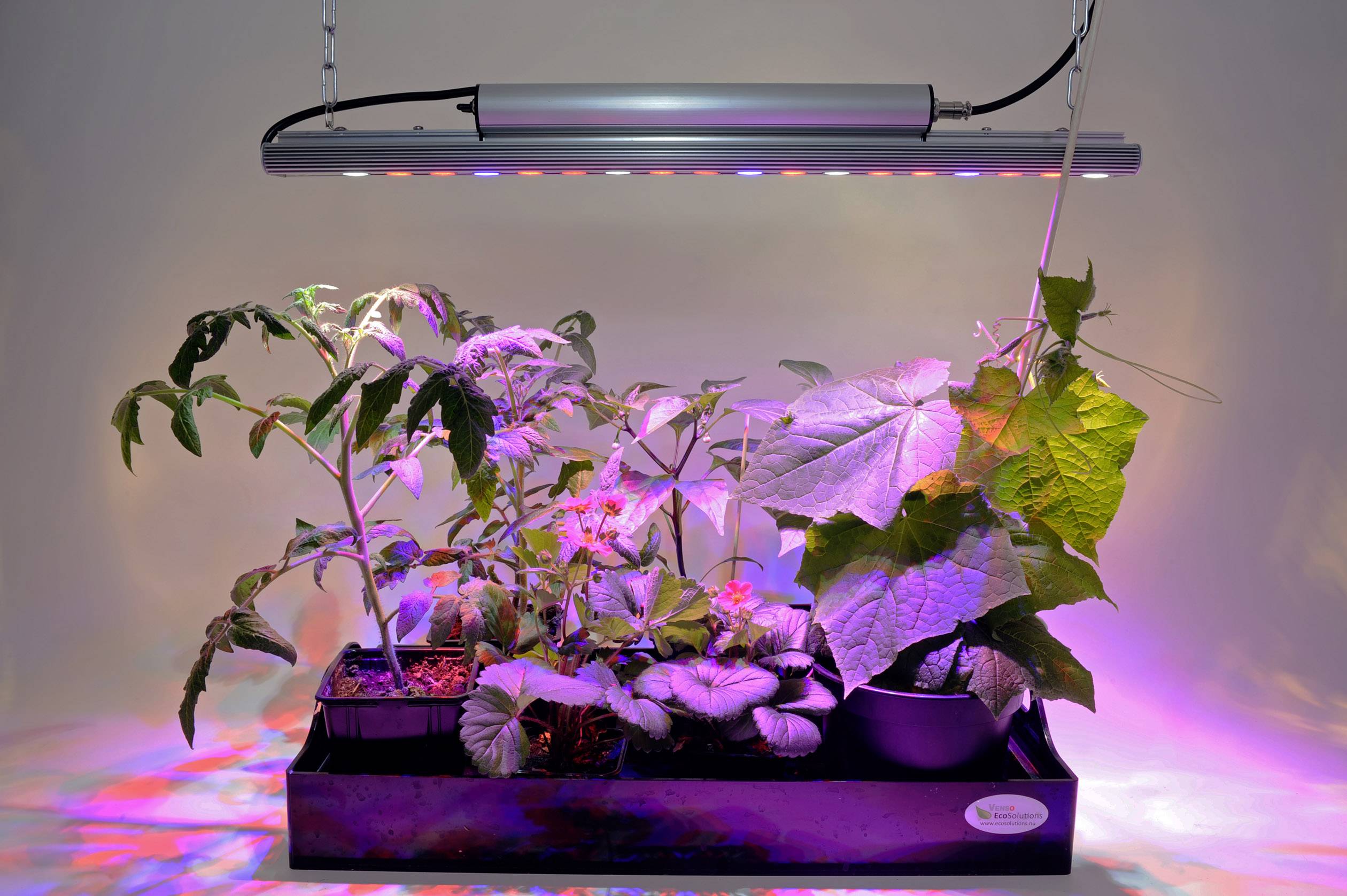 Venso LED-Pflanzenlampe Wachstum 65cm 230V LED fest eingebaut 35W RGBW 1St.