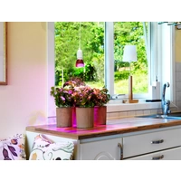 Venso Pflanzenlampe 89.5mm E27 6W Neutralweiß Glühlampenform 1St. Venso Pflanzenlampe 89.5mm E27 6W Neutralweiß Glühlampenform 1St.