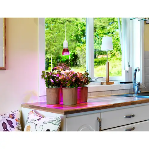 Venso Pflanzenlampe 89.5mm E27 6W Neutralweiß Glühlampenform 1St. Venso Pflanzenlampe 89.5mm E27 6W Neutralweiß Glühlampenform 1St.