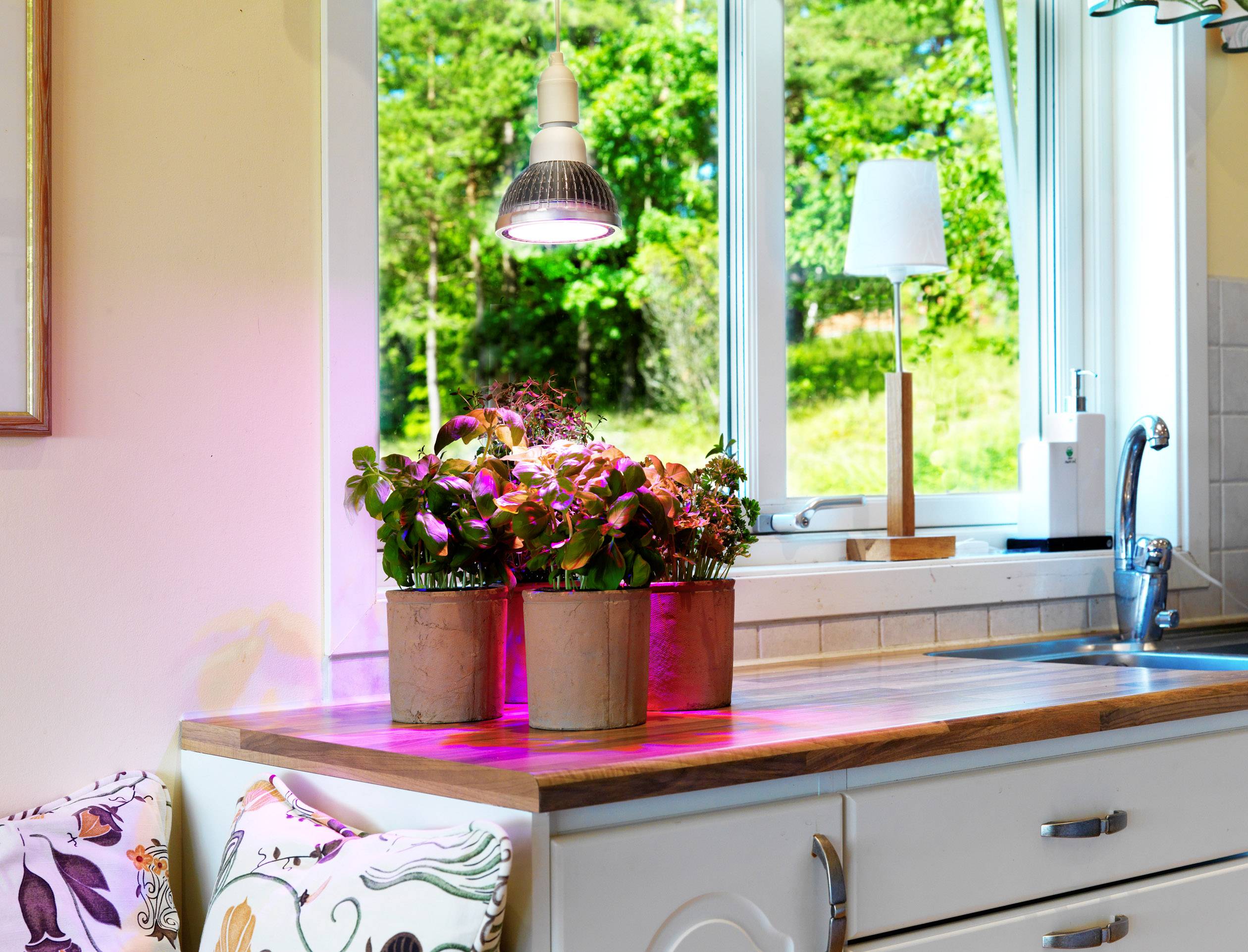 Venso Pflanzenlampe 130mm 230V E27 18W Magenta Reflektor 1St.