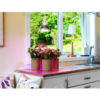 Venso Pflanzenlampe 130mm 230V E27 18W Magenta Reflektor 1St. Venso Pflanzenlampe 130mm 230V E27 18W Magenta Reflektor 1St.