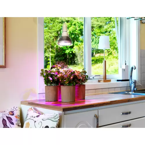 Venso Pflanzenlampe 130mm 230V E27 18W Magenta Reflektor 1St. Venso Pflanzenlampe 130mm 230V E27 18W Magenta Reflektor 1St.