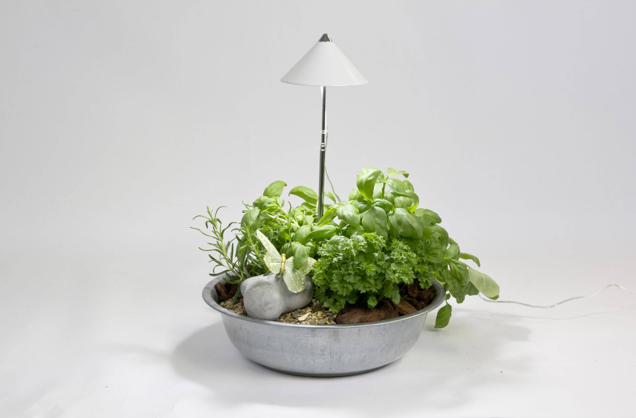 Venso LED-Pflanzenlampe SUNLiTE 230 V LED fest eingebaut 7 W Neutralweiß 1 St.