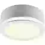 Heitronic LED-Aufbauleuchte LED LED fest eingebaut 10W Warmweiß Weiß Heitronic LED-Aufbauleuchte LED LED fest eingebaut 10W Warmweiß Weiß