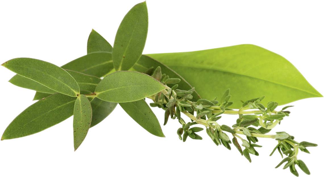 aspUraclip Mini-Inhalator med Inhalator