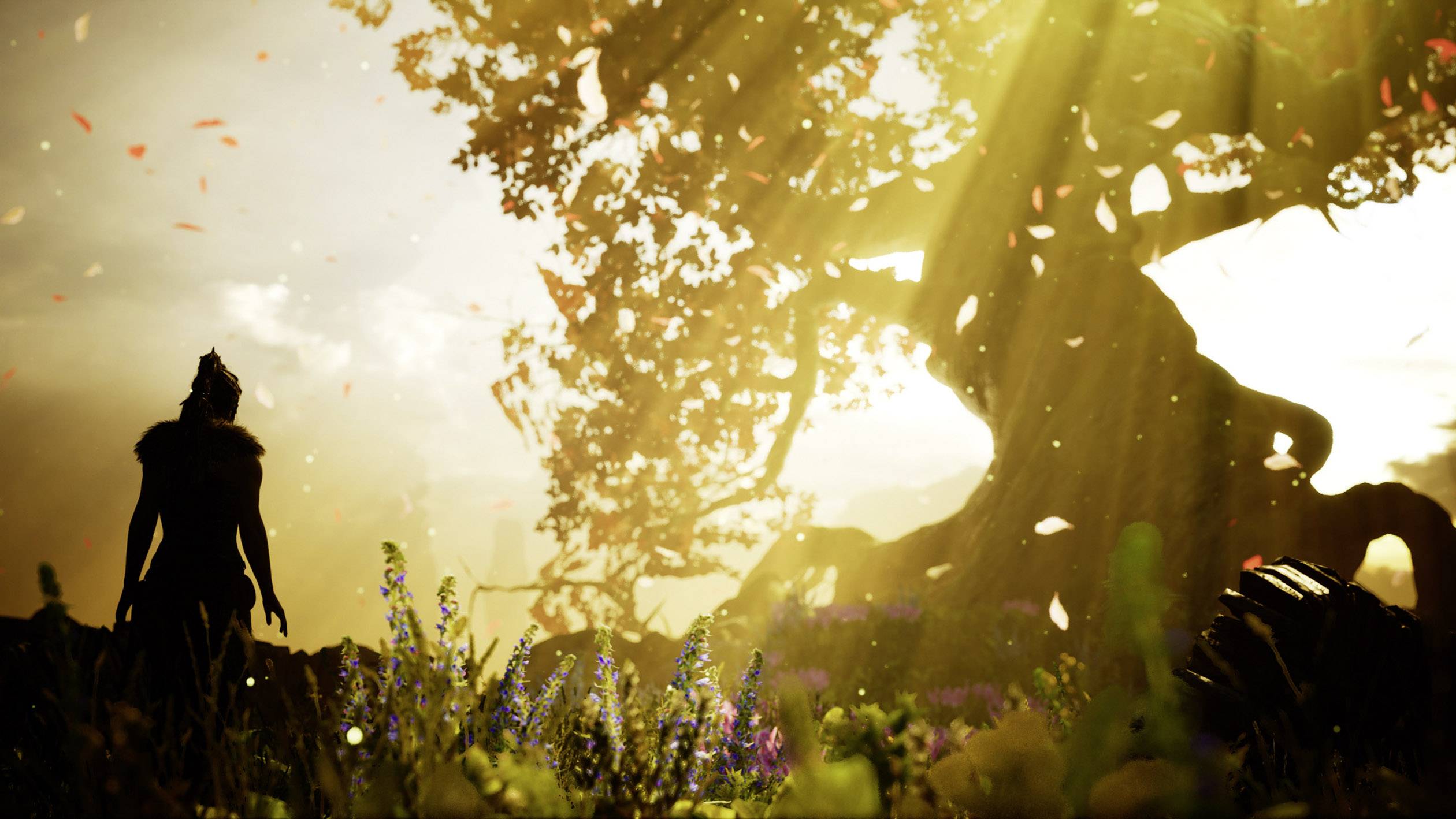 Hellblade: Senua's Sacrifice PS4 USK: 16