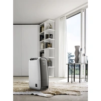 DeLonghi DNS65 Luftentfeuchter 520 W 0.25 l/h Creme, Braun DeLonghi DNS65 Luftentfeuchter 520 W 0.25 l/h Creme, Braun