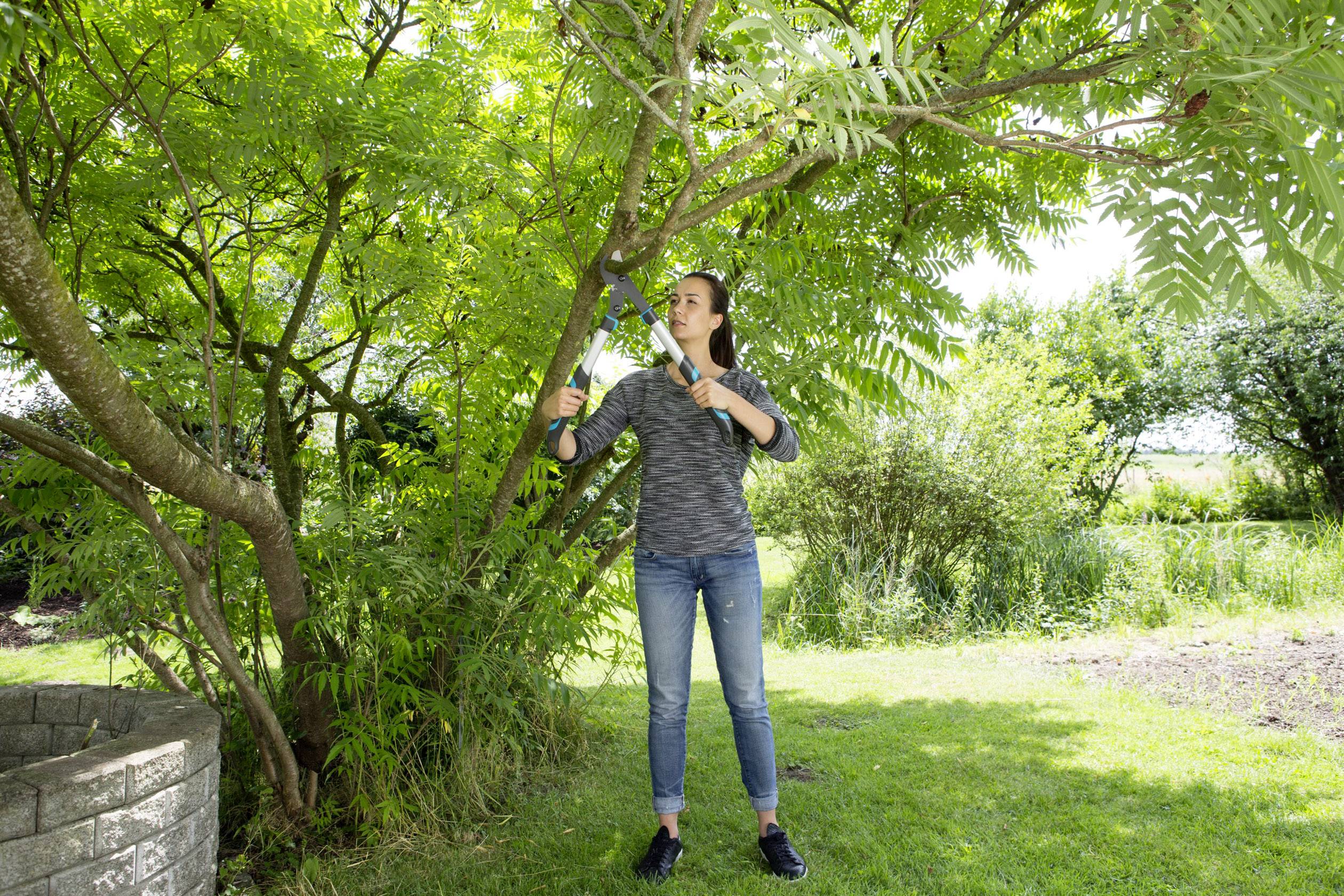 GARDENA 12006-20 EnergyCut 600 B Astschere Bypass