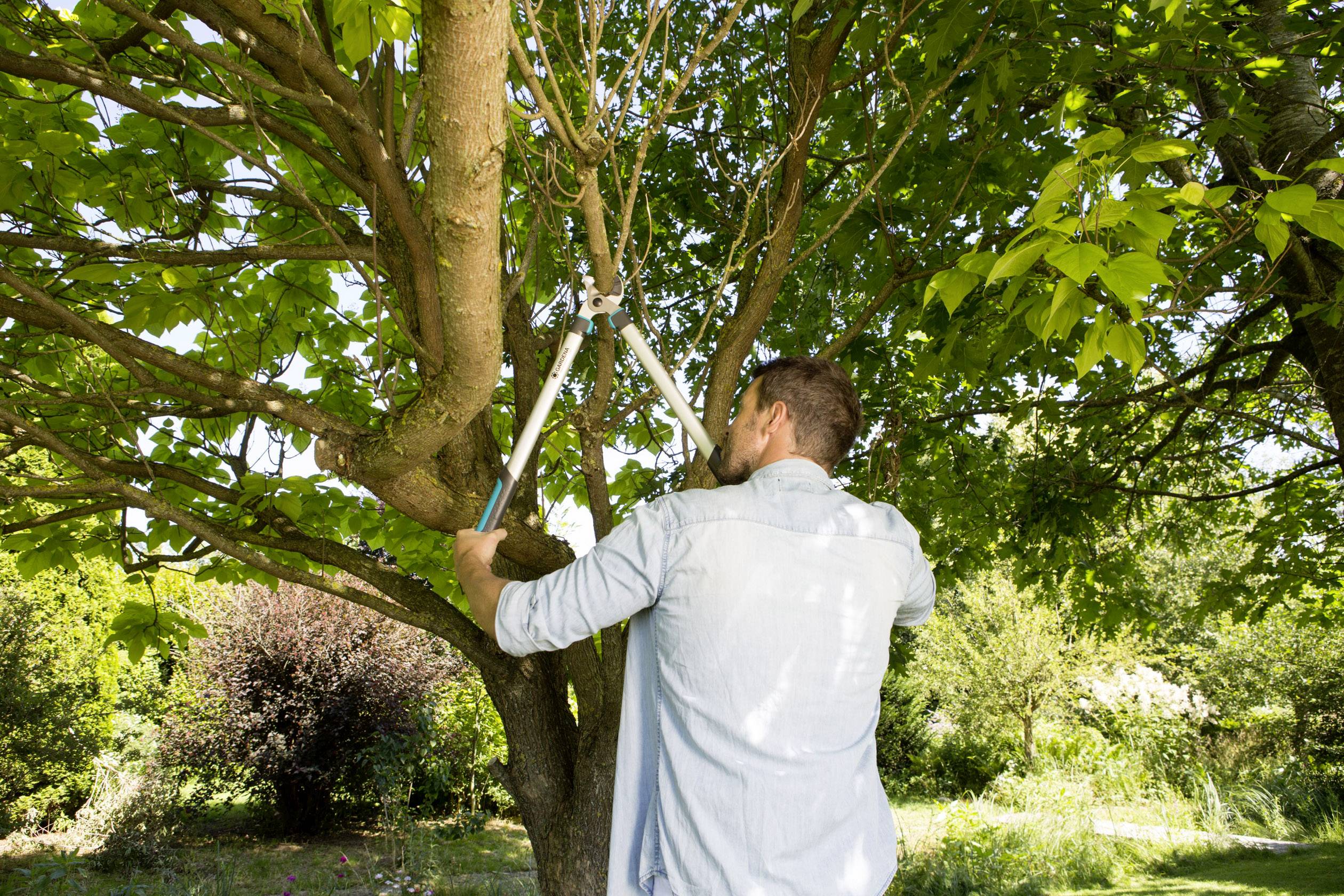 GARDENA 12004-20 EasyCut 680 A Astschere Amboss