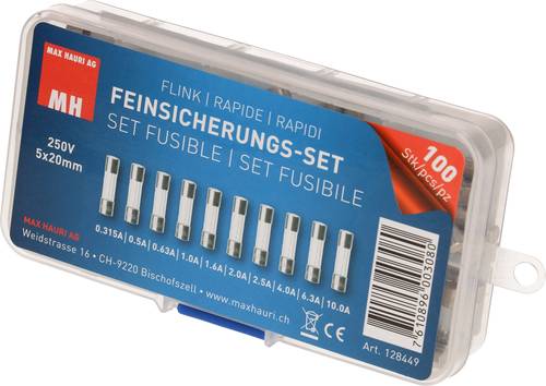 Feinsicherung-Sortiment (Ø x L) 5mm x 20mm Flink -F- Inhalt 100St.
