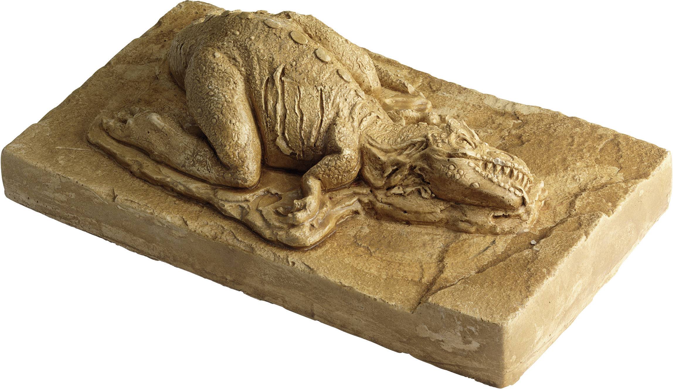 Kosmos 630041 Ausgrabungsset T-Rex 3-D Triops & Dinosaurier Experimentierkasten ab 7 Jahre