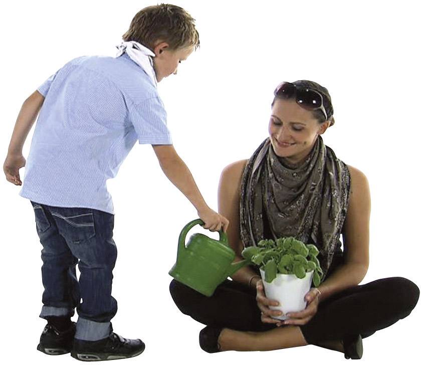 Kosmos 634919 Mein erstes Gewächshaus Experimentierkasten ab 5 Jahre