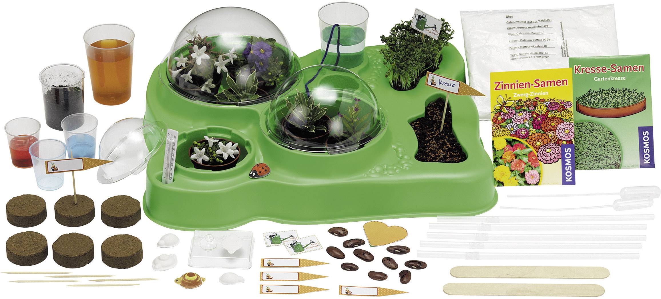 Kosmos 634919 Mein erstes Gewächshaus Experimentierkasten ab 5 Jahre