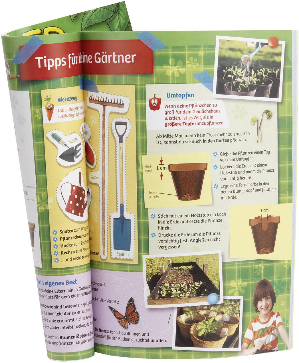 Kosmos 634919 Mein erstes Gewächshaus Experimentierkasten ab 5 Jahre