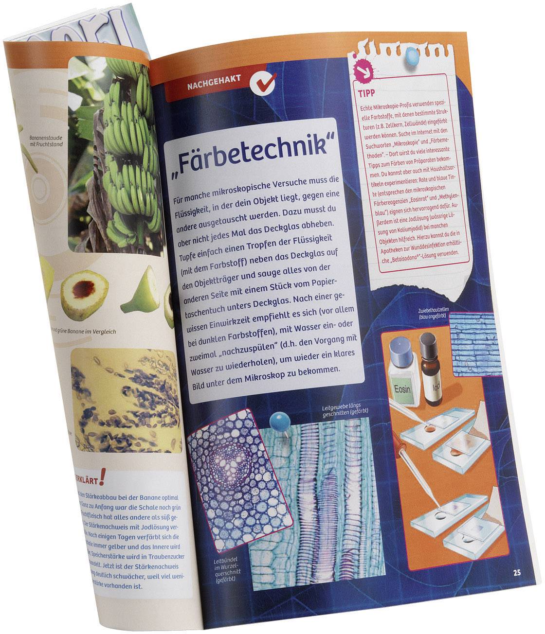 Kosmos Das große Forscher-Mikroskop 636029 Experimentierkasten ab 12 Jahre