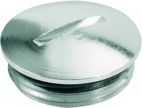 Runde Metallschraube mit glänzender Oberfläche und Schlitzkopf.